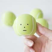 DD-5 ゆず茶のノーズワークトイ