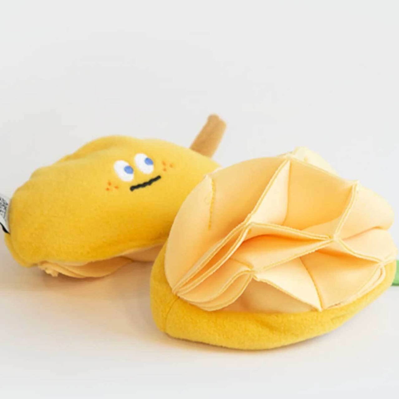 マンゴーのノーズワークトイ