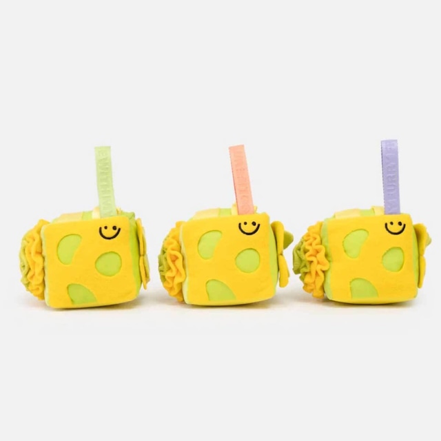 キューブ型のノーズワーク トイ